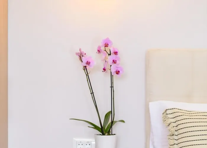 Olivia's House Feriehus Kávos