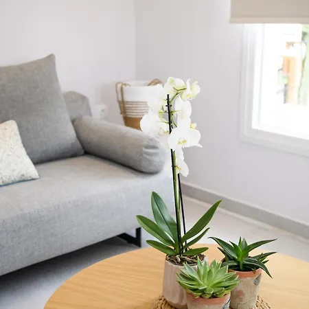 Olivia's House Kávos